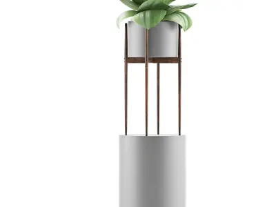 Plants Collection 85 3D model