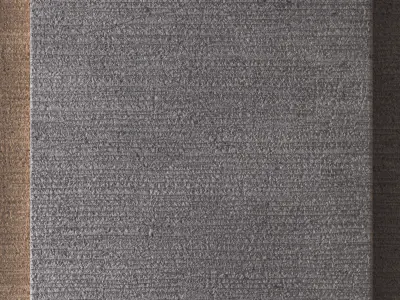 Plaster Stucco Brush Straight 8K-Seamless - Tileable-DrCG No 107 3D model