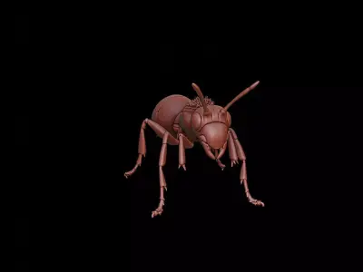 Ant Animal Sculpture 3D print model buy