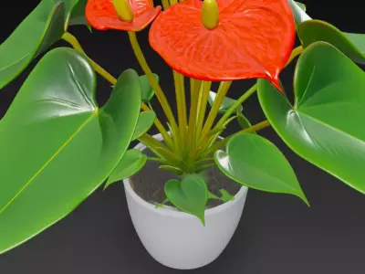 Anthurium Plant Pot 3D model