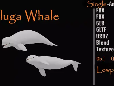 Beluga Whale Low-poly 3D model