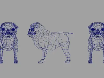 bulldog 3d model pug dog Low-poly 3D model