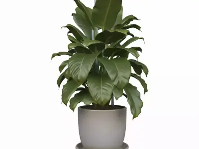 Classic Banking Interior Accessories Pack - 10 Models Collection