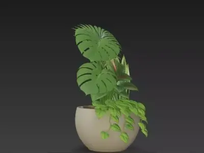 Tropical Houseplant Arrangement-Monstera- Palm - Snake Plant 3D model