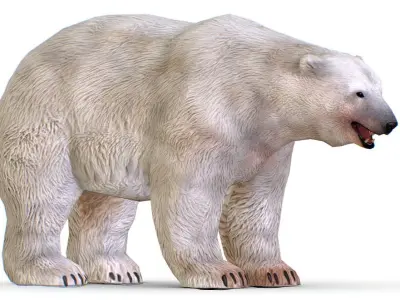 LowPoly Model White Polar Bear Low-poly 3D model