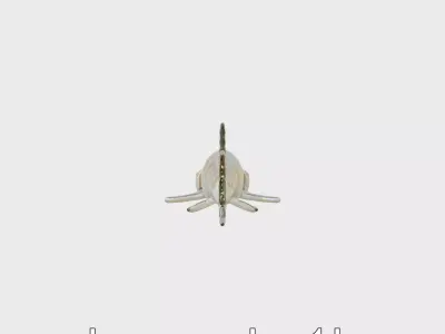 Zebra Shark 3D Model with Striped Juvenile Pattern Low-poly 3D model