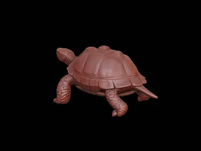 Turtle Animal Sculpture 3D print model get