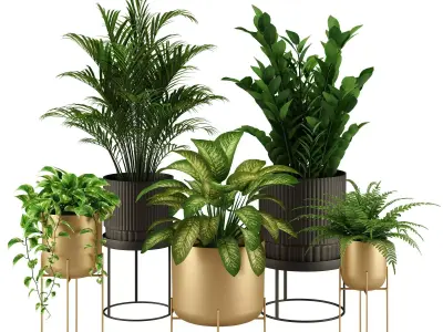 Indoor Plant Set 002 3D model