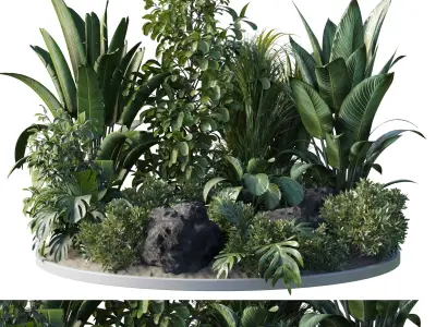 Garden Plants   Outdoor plant Collection 132 Low-poly 3D model