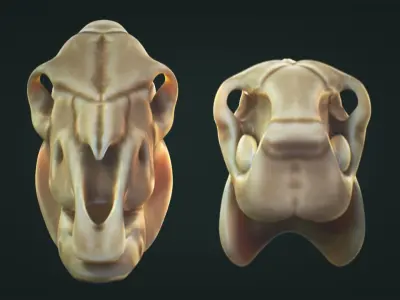 Horse Skull Low-poly 3D model