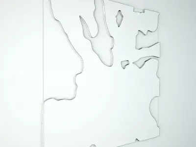 Organic Teak Root Mirror 3D model