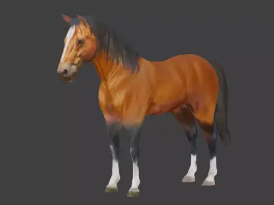 Jumping-Running-Walking Brown Horse  Low-poly 3D model