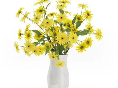 Coneflowers in Ceramic Vase 3D model