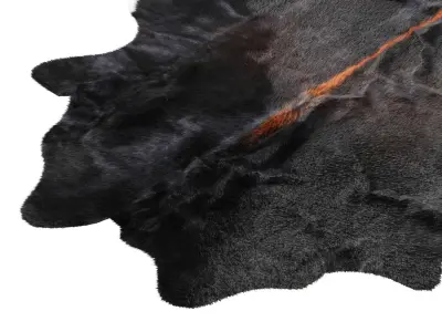 Black and White Cowhide Rug A28928 3D model