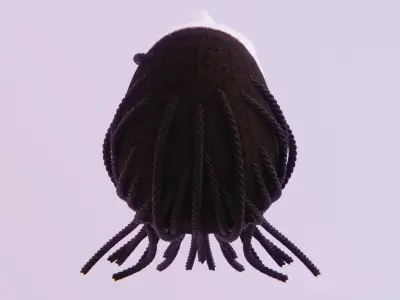 Long Dreads 3 - Braided Low-poly 3D model