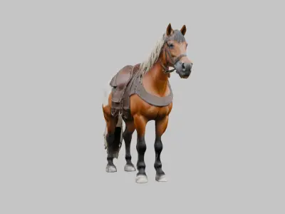 Medieval Horse Low-poly 3D model
