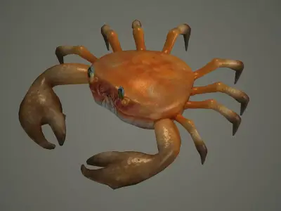 crab animal 3d model texture arthropod character  3D model