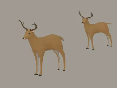 Deer model Low-poly 3D model