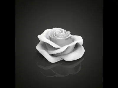 Realistic rose flower 3D print model