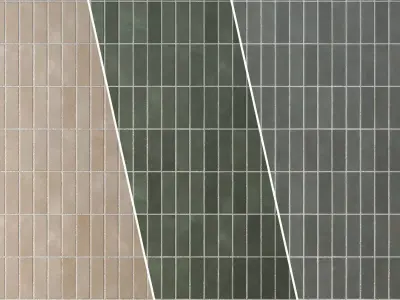 Tile Matte Porcelain Rectangle - Set 24  Texture