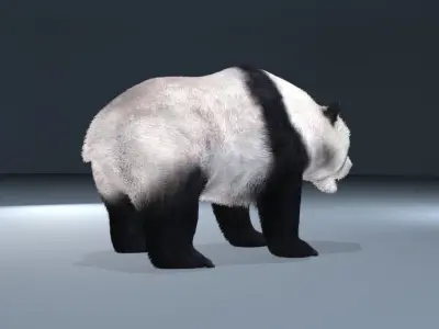 This is a low -polygonal panda Low-poly 3D model