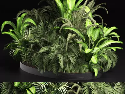 Plants Collection 209 Gardening Plants 3D model