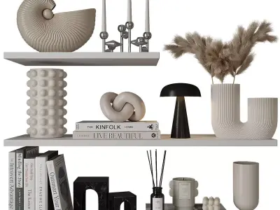 Decorative shelves with vases and books 3D model