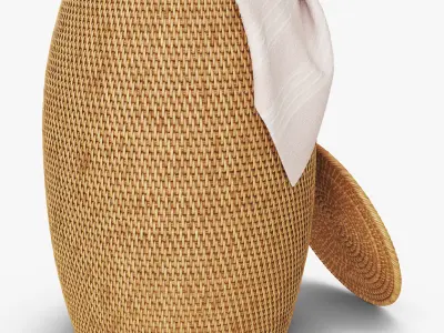 Artifacts Rattan End Table With Lid 3D model