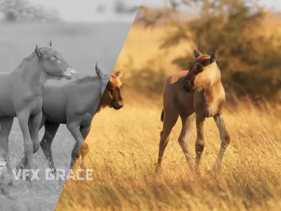 Baby Wildebeest Animated VFX Grace 3D model