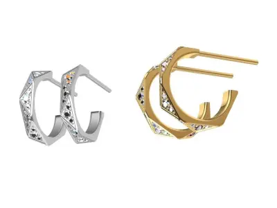 Earrings 3d model  3D print model