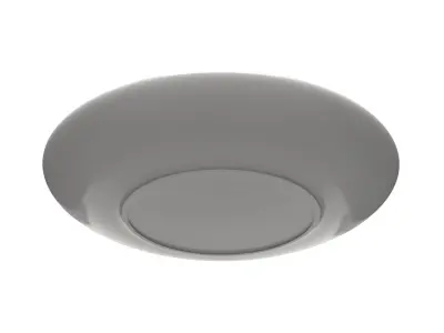 Plate Low-poly 3D model purchase