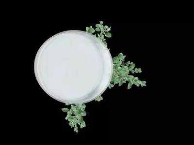 Plant Pot Decor Free 3D model