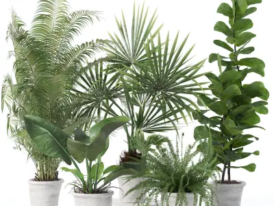 20 Photorealistic Flowers for Interiors - set 139 141 142 143 3D Model Collection