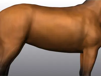Horse Low-poly 3D model