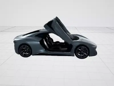 rase  car open door 3D print model