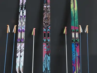 Ski and Ski Pole 3D model