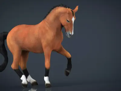 Dressage Horse Low-poly 3D model