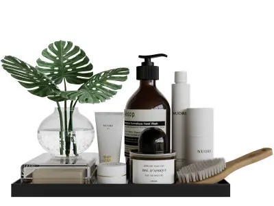 Decorative set spa tray 3D model