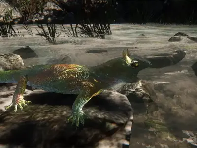Lizard in water 3D model