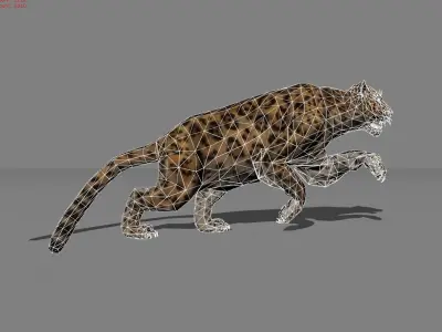 Jaguar Animal  Low-poly 3D model