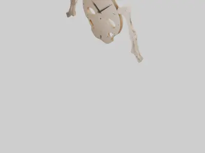 Skeleton Wall Clock model 3D model