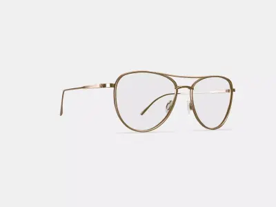 Sanaa Eyeglasses in Polished Gold with Oak Barrel 3D model