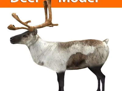 3D Reindeer model low poly with antlers Low-poly 3D model