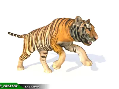 Lowpoly Tiger Animated 3D model Low-poly 3D model