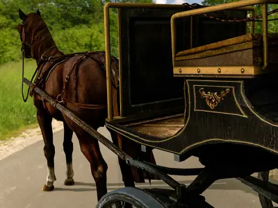Horse Carriages 3D model