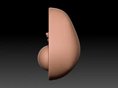 Cute Avocado - 3D Print Model 3D print model