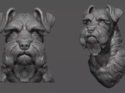Schnauzer bust head 3D print model
