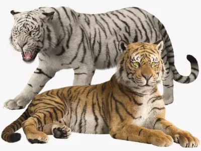 Tiger Rigged Animated 3D model