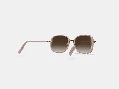 Fernanda Sunglasses in Antique Rose with Polished Gold 3D model