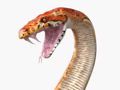 Snake rigged 3D model